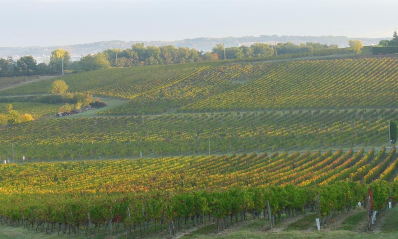 Romantic Gite Nr St Emilion With Private Pool And Views To Die For Pujols  Exterior photo
